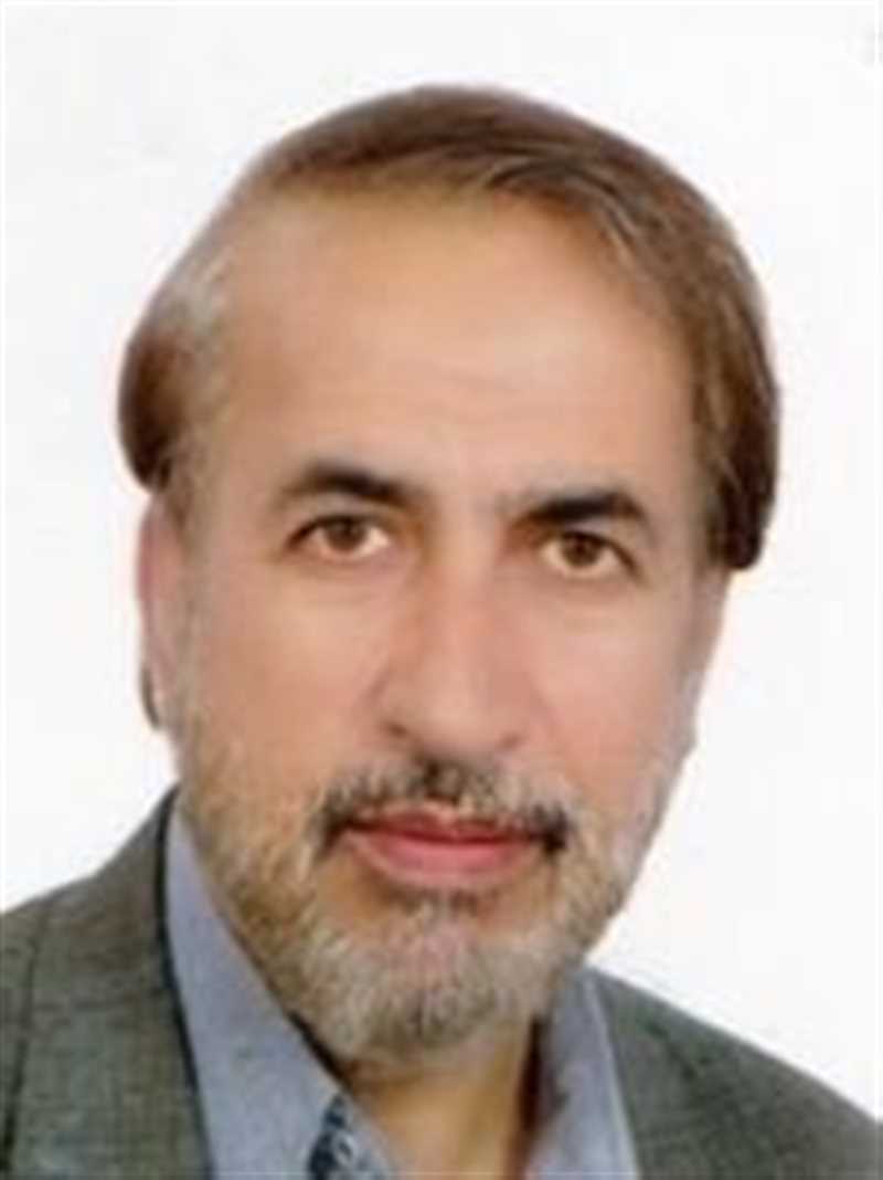 دکتر حسن رزمجو