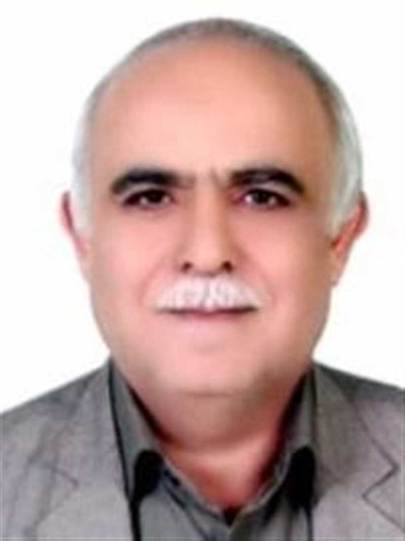 دکتر سید محمدتقی هاشمیان