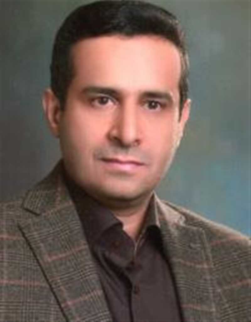 دکتر محمود هادی زاده