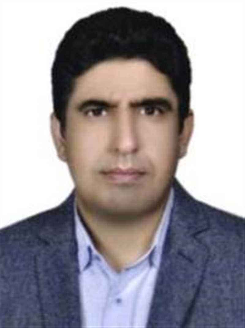 دکتر سید علی سادات میره ای